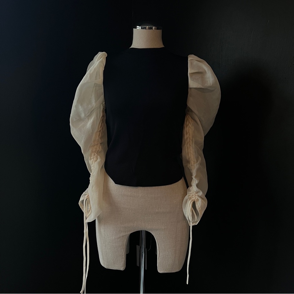 Zara Puff Sleeve Blouse